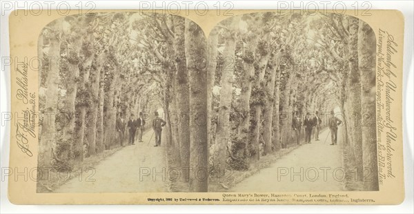 Queen Mary's Bower, Hampton Court, London, England, 1892. Creator: Underwood & Underwood.