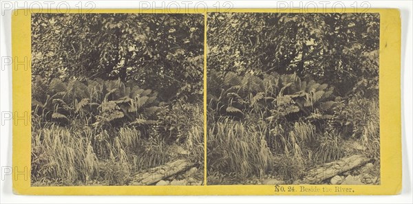 Beside the River, 1868/69. Creator: Whiting Bros.