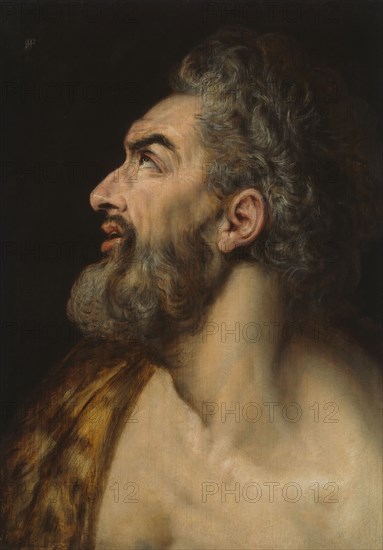 Study Head of a Bearded Man, c. 1565. Creator: Frans Floris.