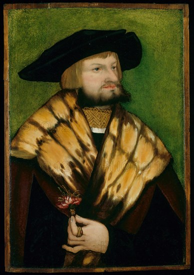 Portrait of Leonhard Fuchs, 1525. Creator: Unknown.