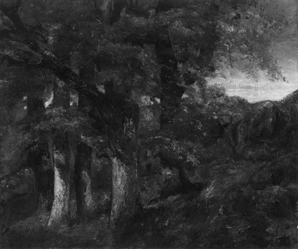 Wooded Landscape, 1819/77. Creator: Gustave Courbet.