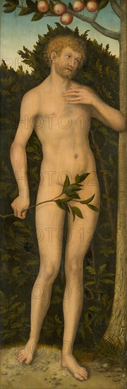 Adam, 1533/37. Creator: Lucas Cranach the Elder.