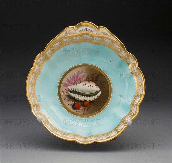 Plate, Worcester, 1813/19. Creator: Royal Worcester.