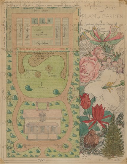 Ground Plan for Cottage, c. 1936. Creator: Virginia Richards.