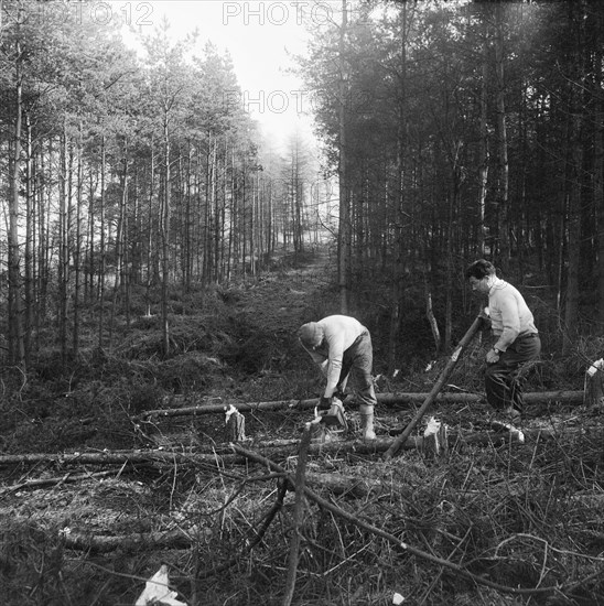 Construction of the M6 Motorway, Stafford, Staffordshire, 20/06/1961. Creator: John Laing plc.