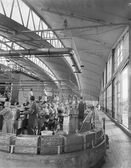 Wall's Ice Cream Factory, Gloucester, Gloucestershire, 13/06/1961. Creator: John Laing plc.