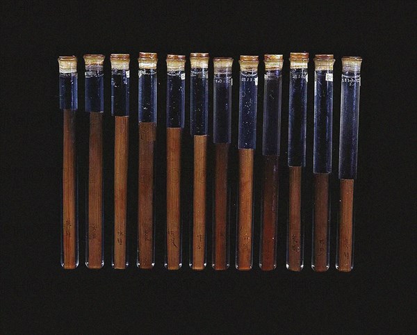 Chinese twelve-tone pitch pipes (from the tomb of Xin Zhui in Mawangdui), ca 160 BC. Creator: Anonymous master.