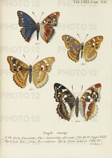 Die Schmetterlinge (The butterflies), 1777-1794. Creator: Esper, Eugen Johann Christoph (1742-1810).