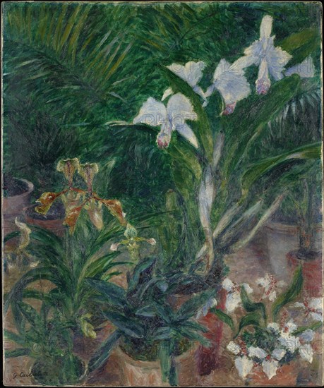 Orchidées dans la serre du Petit Gennevilliers, 1893. Creator: Caillebotte, Gustave (1848-1894).