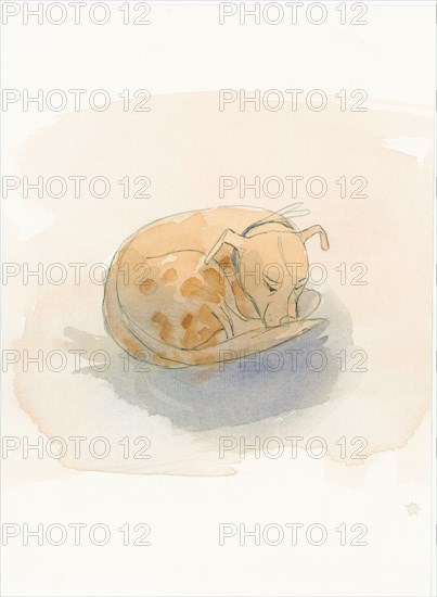 Sleeping dog, 2003. Creator: Judith Dobie.