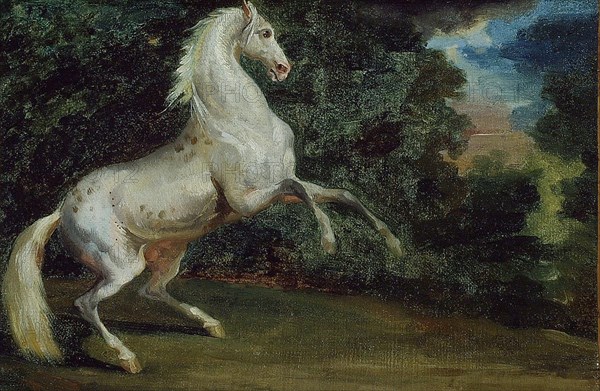 Prancing Horse, 1808/12. Creator: Unknown.