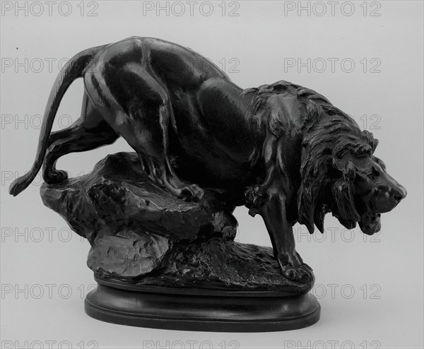 Lion, c. 1880. Creator: Rosa Bonheur.
