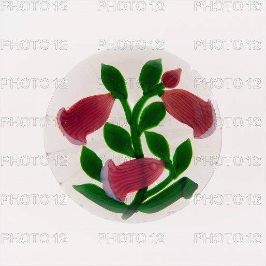 Paperweight, France, 19th century. Creator: Baccarat Glasshouse.