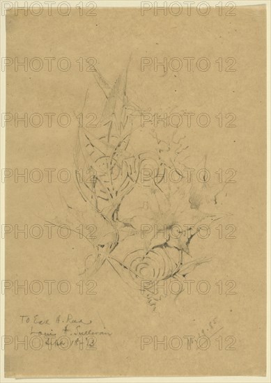 Plant Form Study, 1885. Creator: Louis Sullivan.