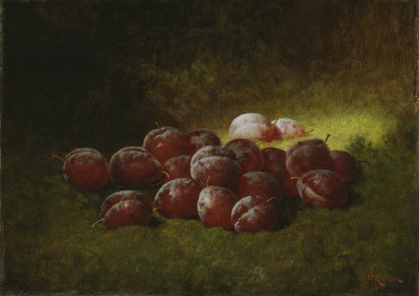 Purple Plums, 1895. Creator: Carducius Plantagenet Ream.