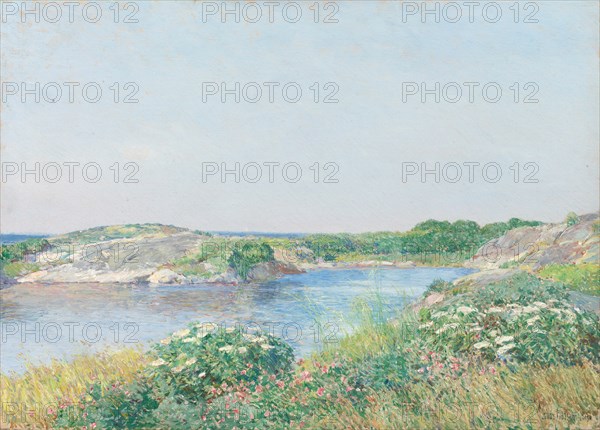 The Little Pond, Appledore, 1890. Creator: Frederick Childe Hassam.