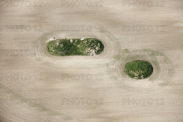 A group of round barrows on Sheep Down, Winterbourne Abbas, Dorset, 2015. Creator: Historic England.