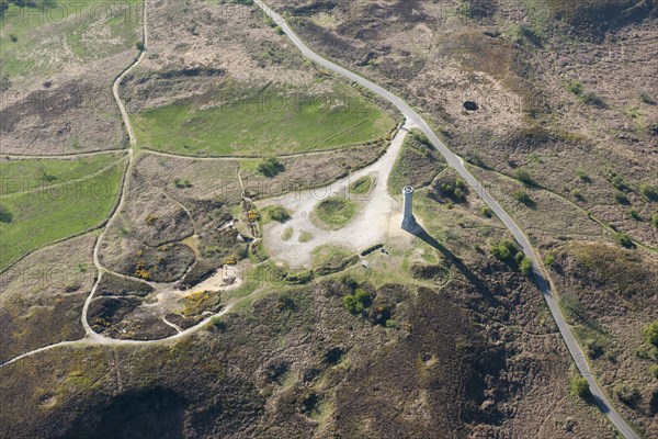 The Hardy Monument, Black Down, Doset, 2015. Creator: Historic England.