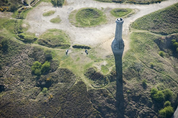 The Hardy Monument, Black Down, Doset, 2015. Creator: Historic England.