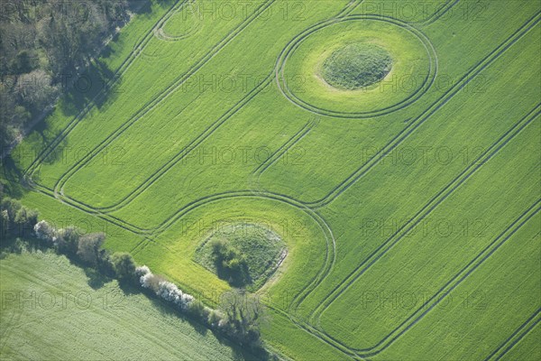 Two bowl barrows showing as earthworks on North Hill, Winterbourne Steepleton, Dorset, 2015. Creator: Historic England.