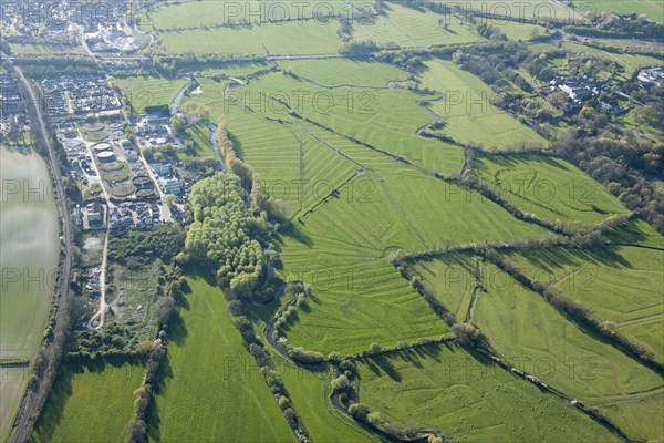 Water meadows along the River Frome, Kingston Maurward, Dorset, 2015. Creator: Historic England.