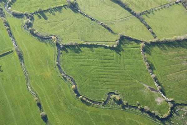 Water meadows along the River Frome, Kingston Maurward, Dorset, 2015. Creator: Historic England.