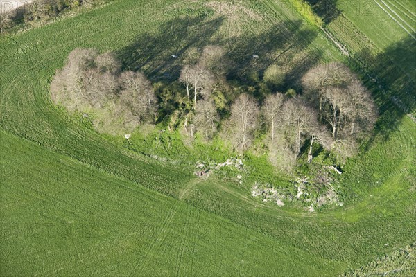 East Kennett long barrow, Wiltshire, 2015. Creator: Historic England.