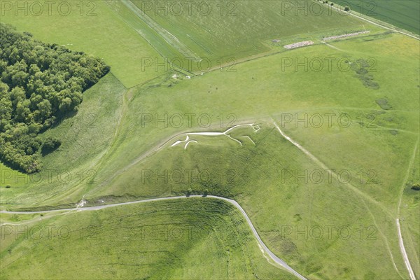 Uffington White Horse chalk figure, White Horse Hill, Oxfordshire, 2015. Creator: Historic England.