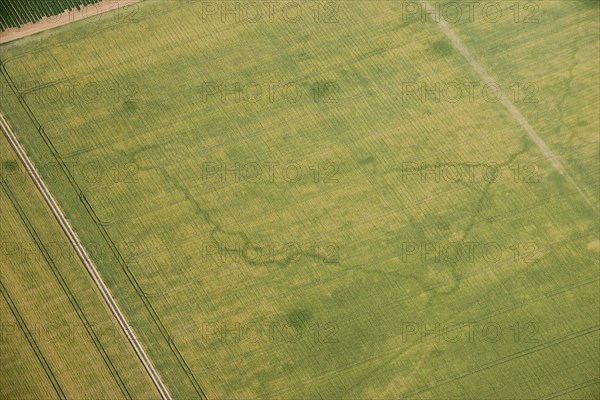 World War Two practice trench crop mark, near Birchington, Kent, 2015. Creator: Historic England.