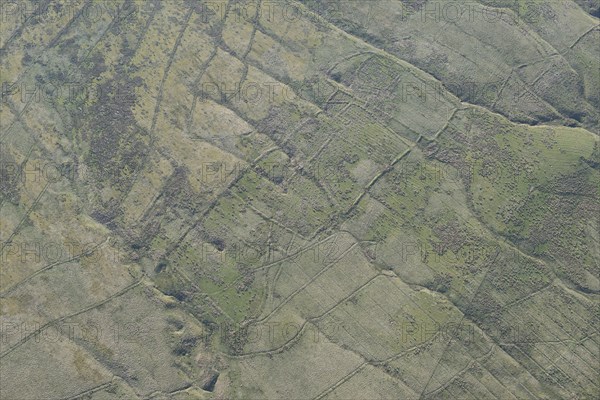 Medieval/post medieval shieling earthwork on Bells Moor, Northumberland, 2016. Creator: Historic England.