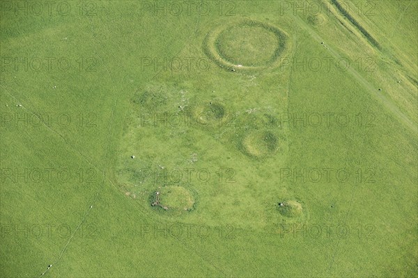 Lake Down Barrow Cemetery earthwork, Willtshire, 2017. Creator: Damian Grady.