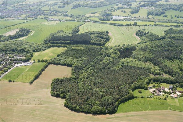 Weedonhill Wood, Shardeloes, Amersham, Buckinghamshire, 2018. Weedonhill Wood, the principal area where Humphry Repton's plans for the landscape park at Shardeloes were executed. These included enhancing the picturesque beauty of the woods and to create a drive through the woods.