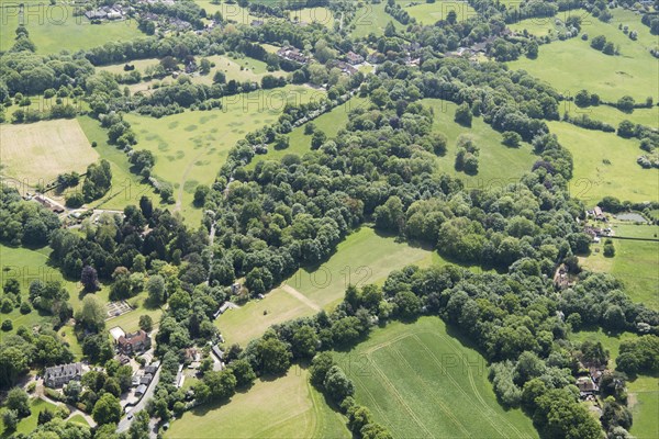 Wild gardens to Warley Place, Essex, 2018. Creator: Historic England.