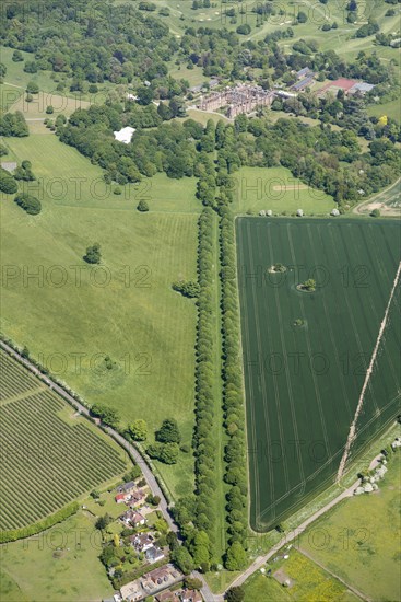 The Avenue at Cobham Hall Park, Cobham Park, Kent, 2018. Creator: Historic England.