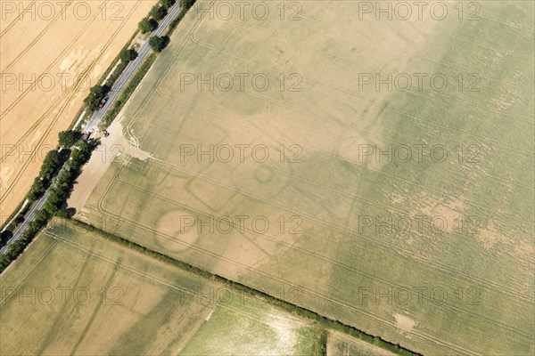 Iron Age settlement crop mark on the Yorkshire Wolds, near Settringham, North Yorkshire, 2018.
