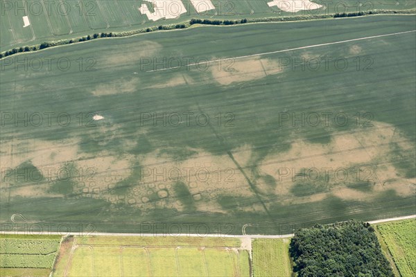 Iron Age square barrow cemetery crop mark on Haisthorpe Moor, East Riding of Yorkshire, 2018. Creator: Historic England.