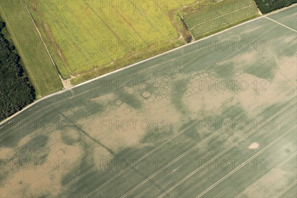 Iron Age square barrow cemetery crop mark on Haisthorpe Moor, East Riding of Yorkshire, 2018. Creator: Historic England.