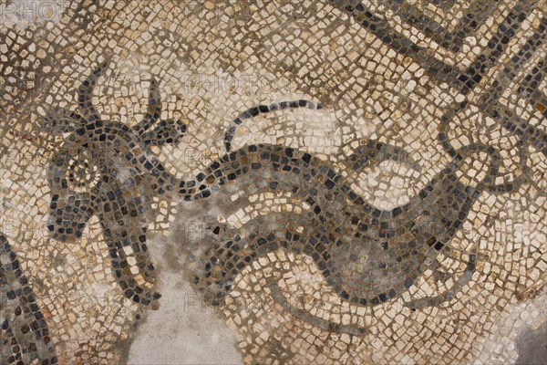 Mosaic, Great Witcombe Roman Villa, Gloucestershire, 2018. Creator: James O Davies.