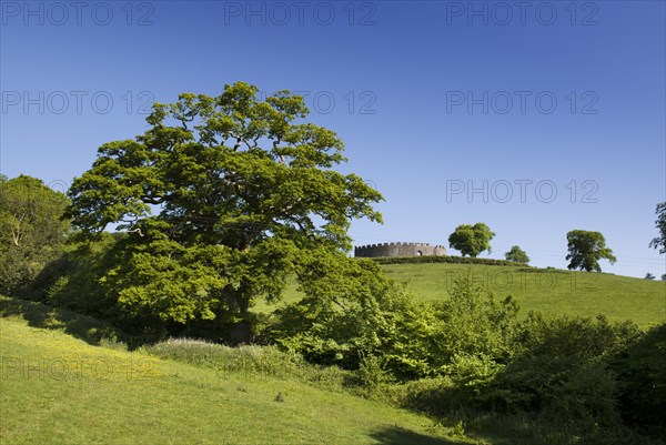 Restormel Castle, Lostwithiel, Cornwall, 2018. Creator: James O Davies.