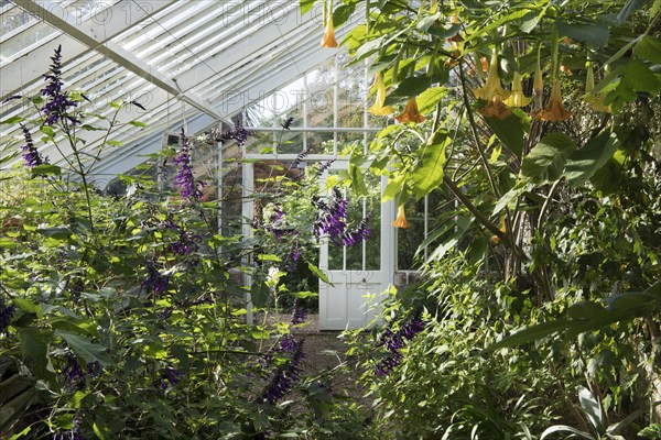 Glasshouse, Denmans Garden, Fontwell, West Sussex, 2018. Creator: James O Davies.