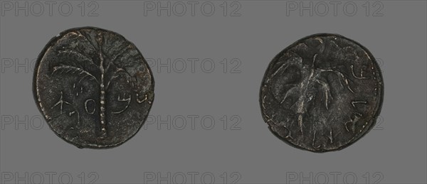 Coin Depicting a Palm Tree, 133-135.