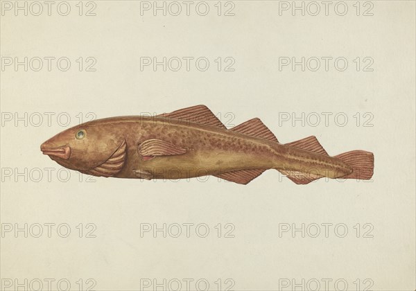 Fish Woodcarving, probably 1938.