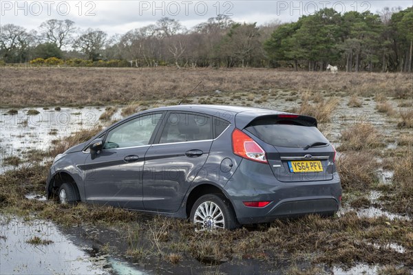 Ford Fiesta accident in New Forest, 2020.