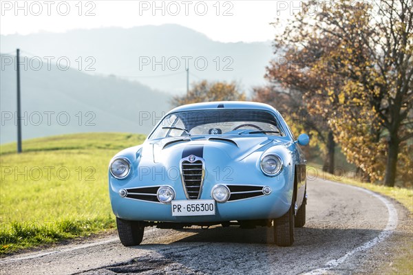 1955 Alfa Romeo 1900 SZ coupe Zagato.