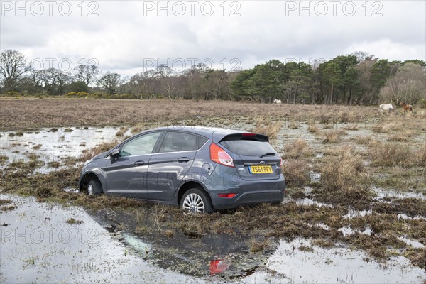 Ford Fiesta accident in New Forest, 2020.