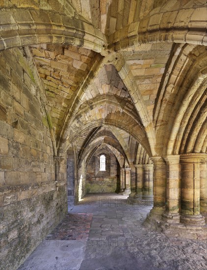 Undercroft to St Michael's tower, Wenlock Priory, Much Wenlock, Shropshire, 2019. Creator: James O Davies.