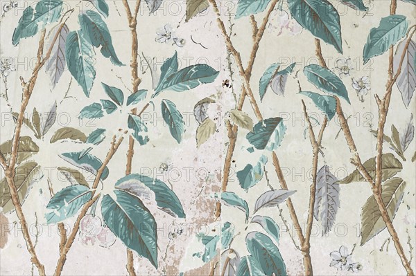 Wallpaper in the garden house, Mount Edgcumbe Country Park, Cornwall, 2019. Creator: Steven Baker.