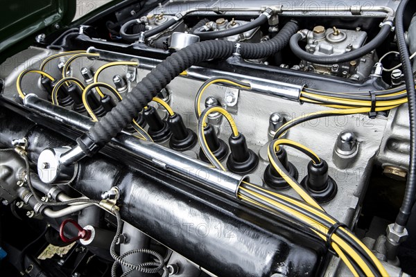 Engine of a 1961 Aston Martin DB4 GT previously owned by Donald Campbell. Creator: Unknown.