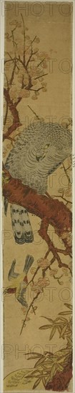 Hawk on Plum Branch Looking Down at Fleeing Bird, c. 1775. Creator: Isoda Koryusai.