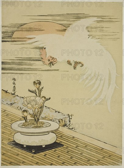 Cock Flying Over Pot of Adonis, c. 1770s. Creator: Isoda Koryusai.